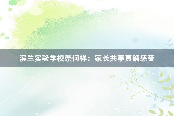 滨兰实验学校奈何样：家长共享真确感受