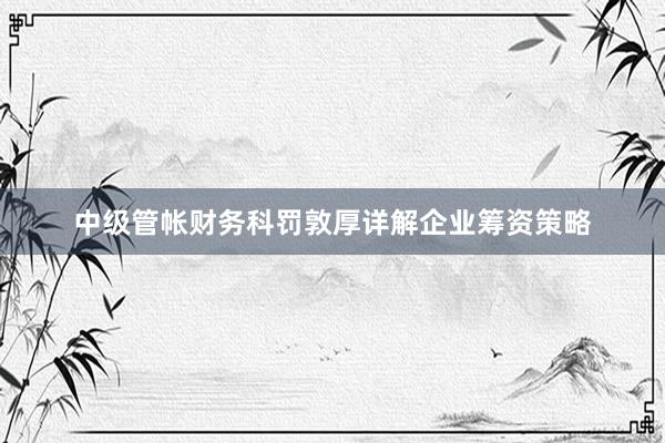 中级管帐财务科罚敦厚详解企业筹资策略
