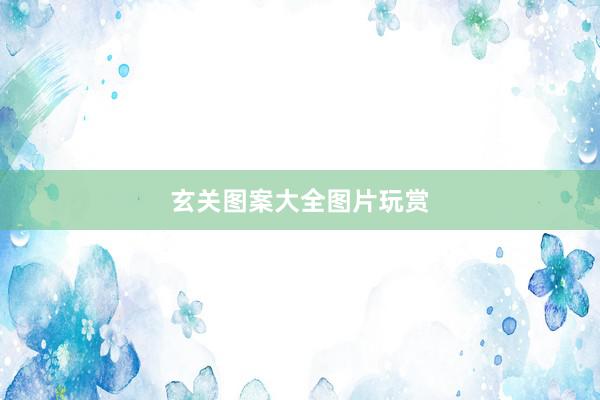 玄关图案大全图片玩赏