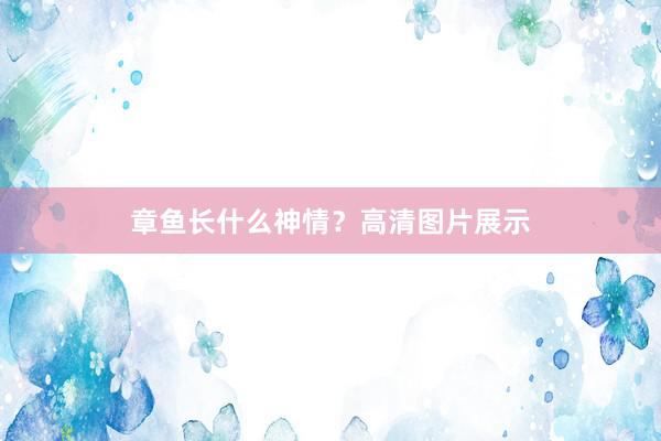 章鱼长什么神情？高清图片展示